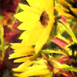 Fall Sunflowers #2108 Giclee Print