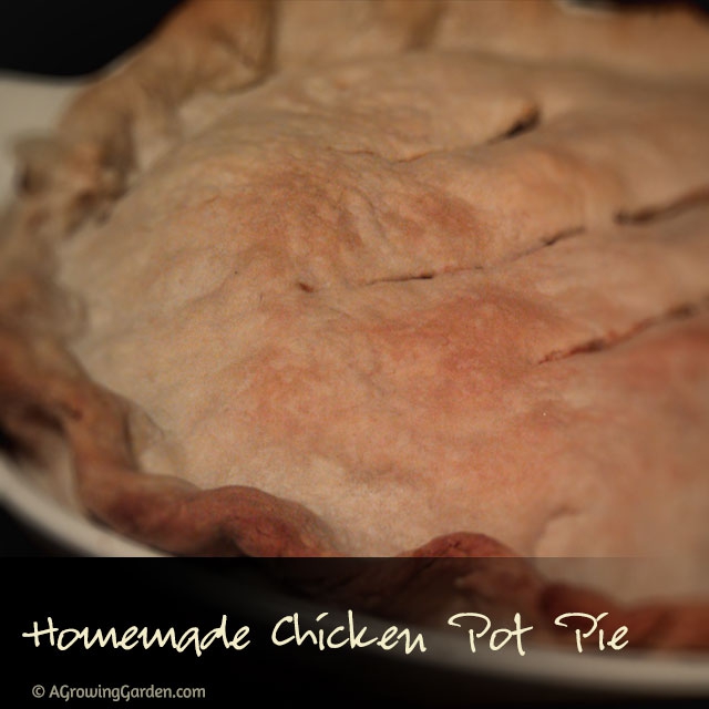 Homemade Chicken Potpie Recipe