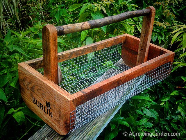 Harvest Baskets and Picking Pails