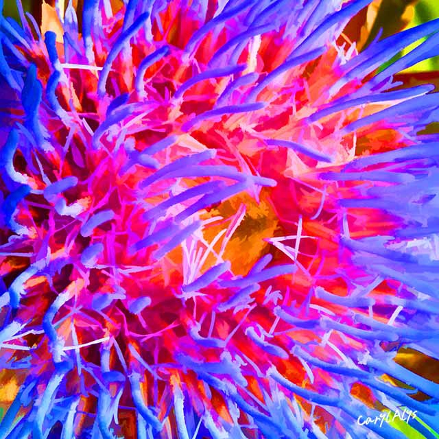 Abstract Artichoke Flower
