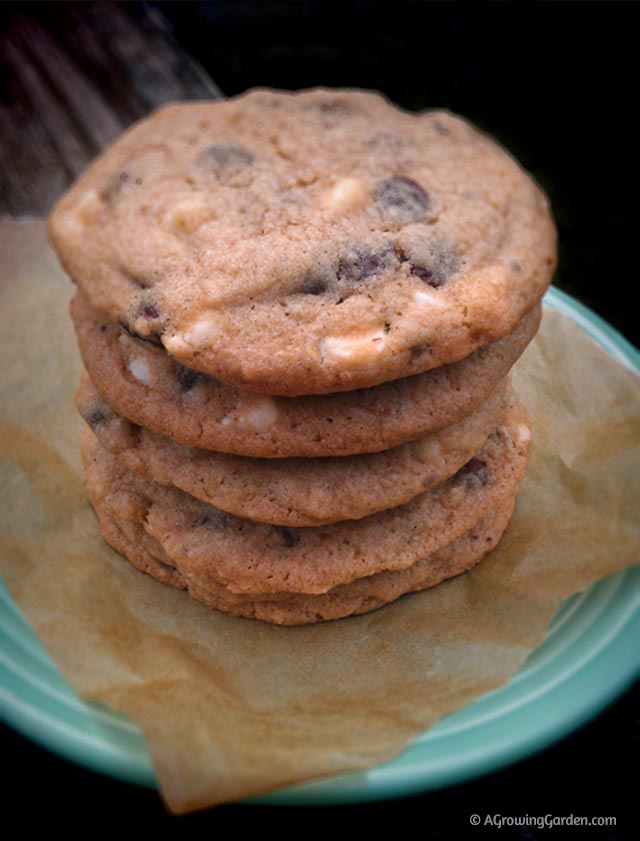 The Perfect Chocolate Chip Cookie