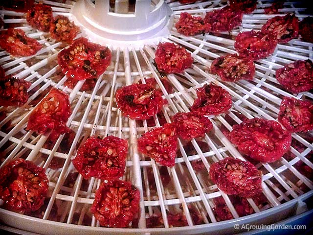 How to Dry Tomatoes