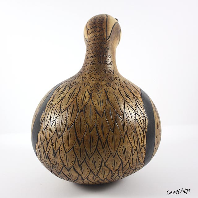 Gourd Bobwhite