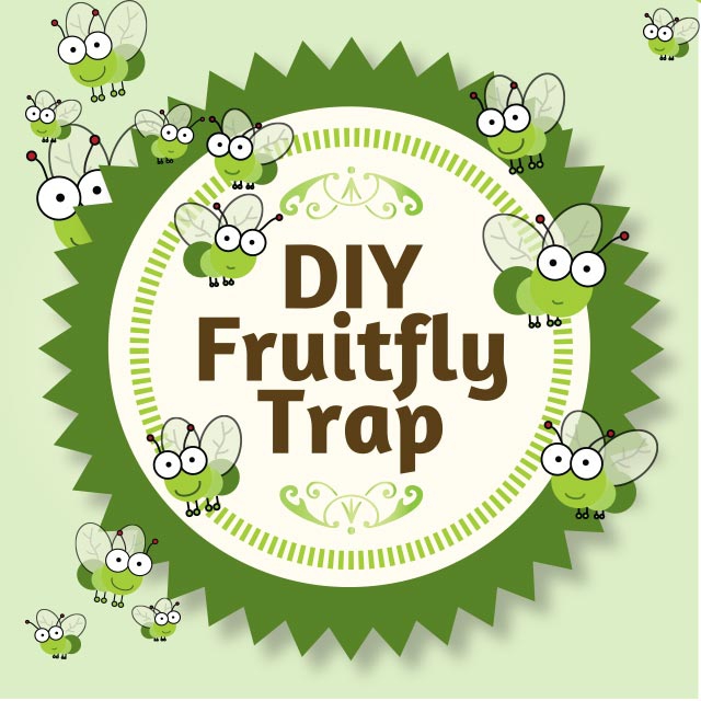 DIY Fruitfly Trap