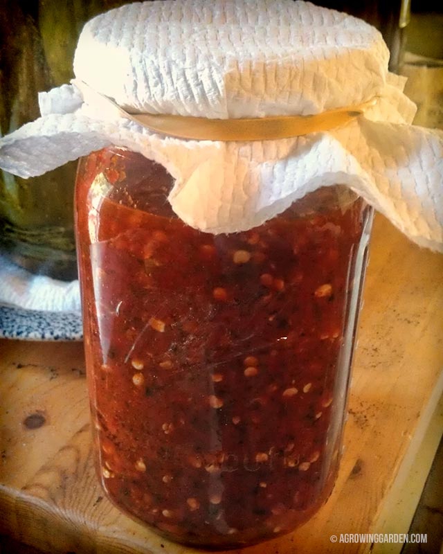 Salt Brine Fermented Hot Sauce