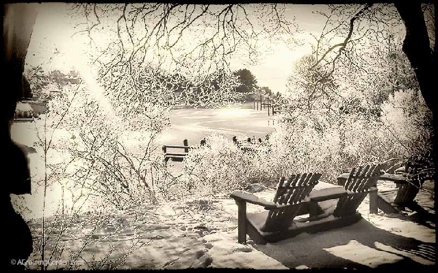 Our Frozen Creek in Winter