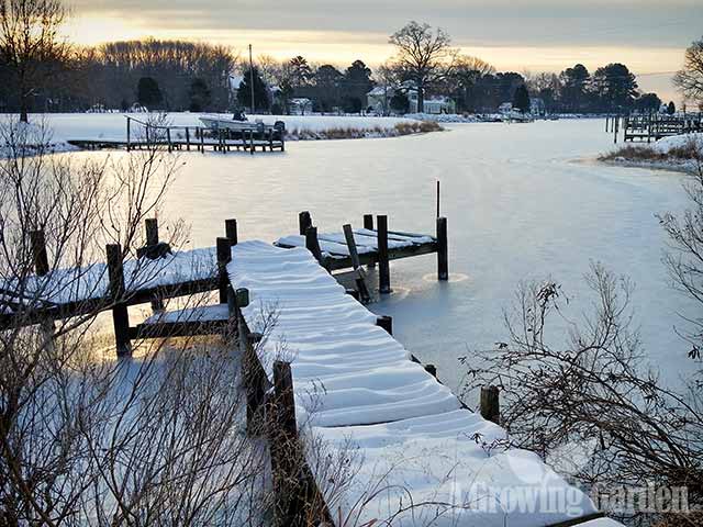 Frozen Creek