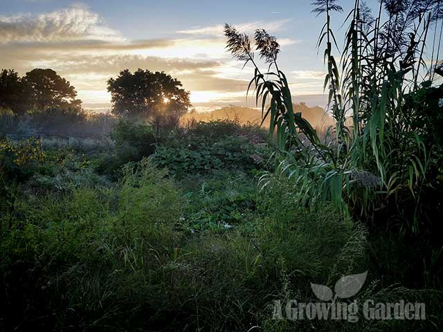 October Garden