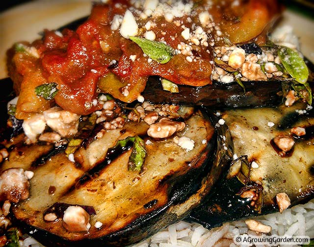 Grilled Eggplant with Feta and Tomatoes