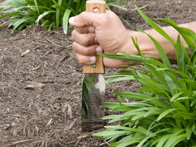 Gifts for Gardeners: Japanese Hori Hori