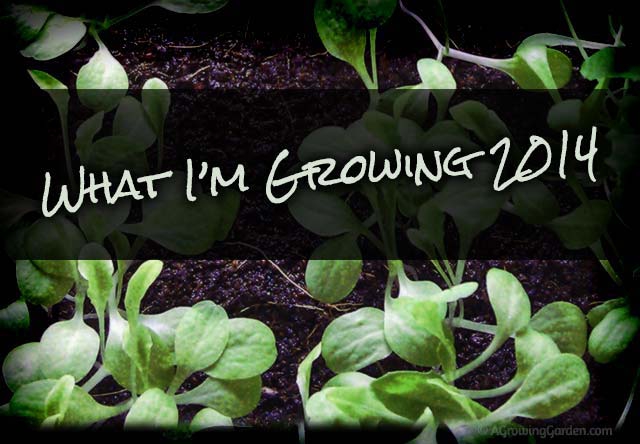 The Vegetables I'll be Growing in 2014