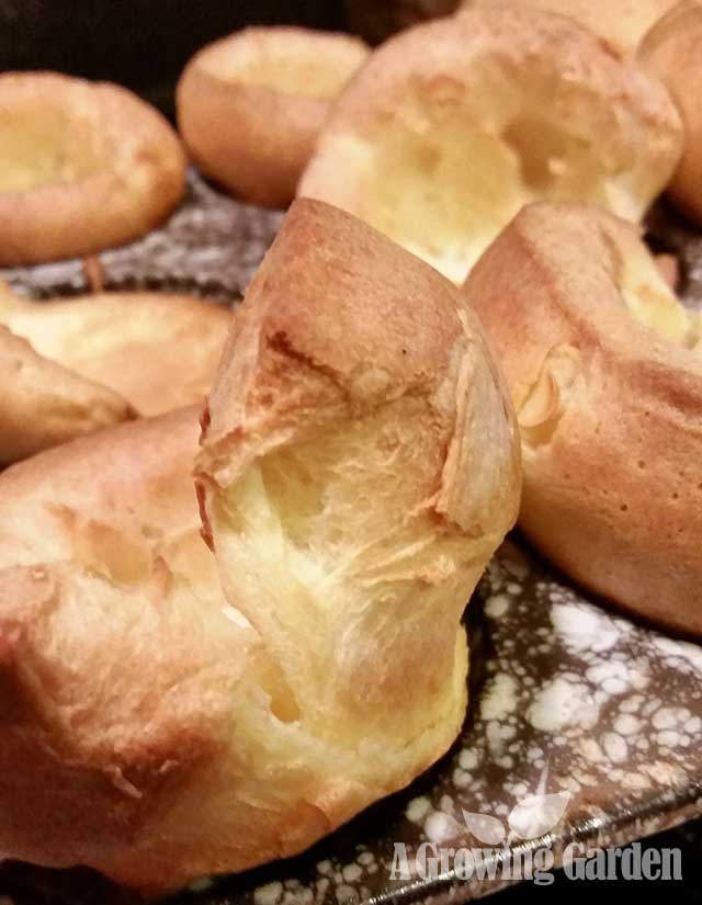 Yorkshire Pudding Recipe