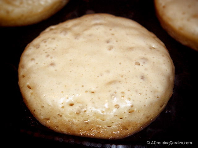 Crumpet Recipe