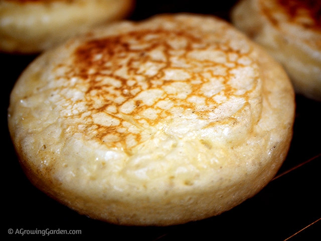 How to bake crumpets