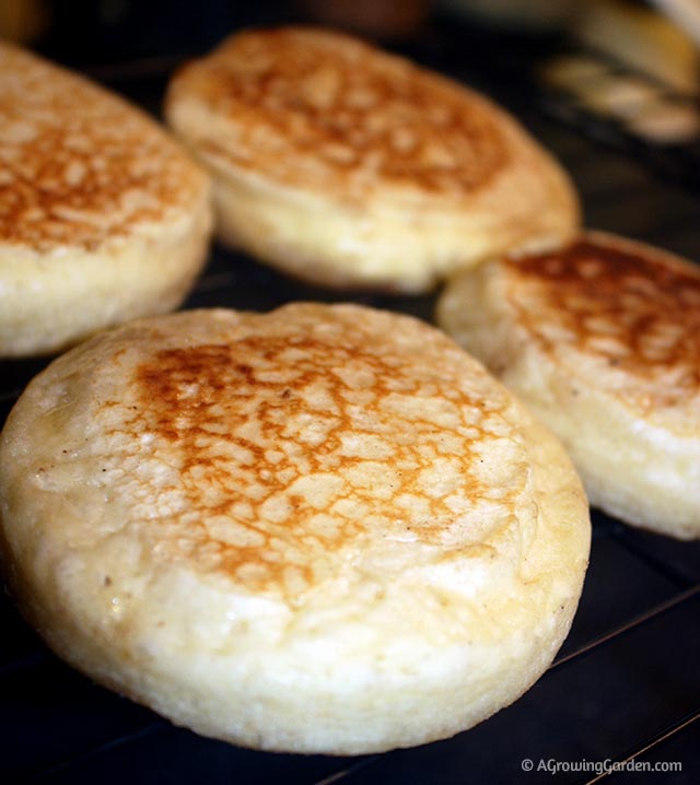 How to Make Crumpets