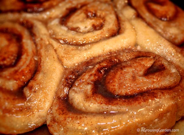 Sticky Buns