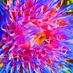 Abstract Artichoke Flower Print