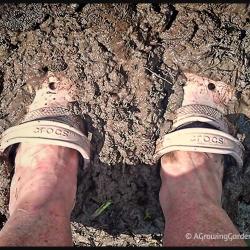 Garden Flooding - When Your Garden Gets Just Too Much Water