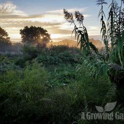 What's Happening in the Garden Today - Oct 1, 2014