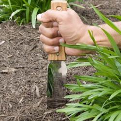 Gifts for Gardeners: Japanese Hori Hori